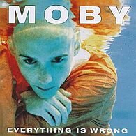 moby__1995.03.14__EverythingIsWrong