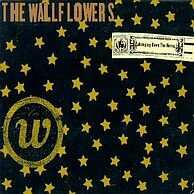 Bringing Down The Horse