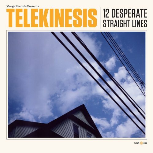 12 Desparate Straight Lines