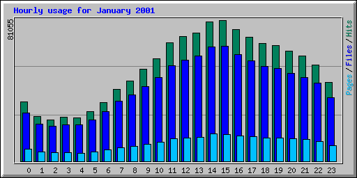 Hourly usage for January 2001